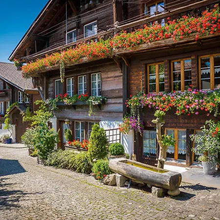 Spacious Near Brienz With Hot Tub & Parking Appartement