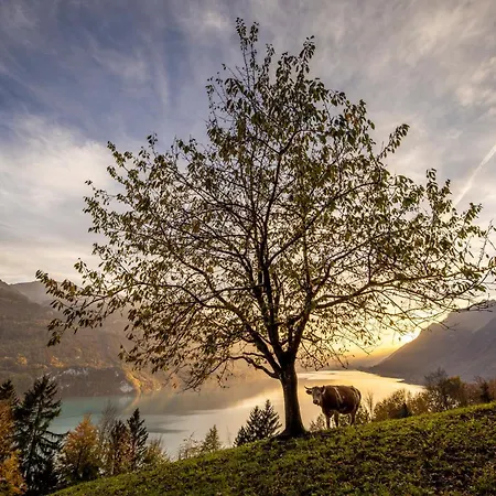 Spacious Near Brienz With Hot Tub & Parking Kienholz